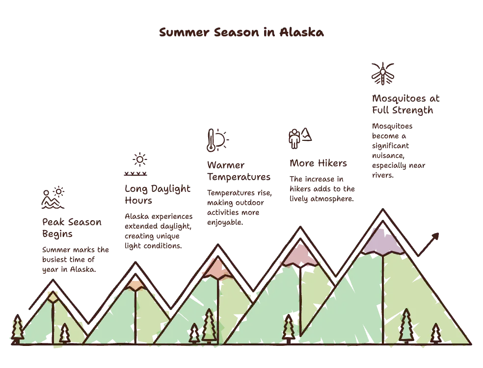 Summer (June–August)